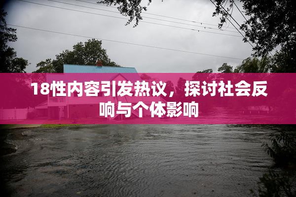 18性内容引发热议，探讨社会反响与个体影响