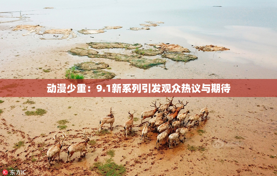 动漫少重：9.1新系列引发观众热议与期待