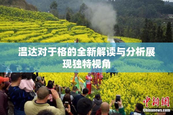 温达对于格的全新解读与分析展现独特视角
