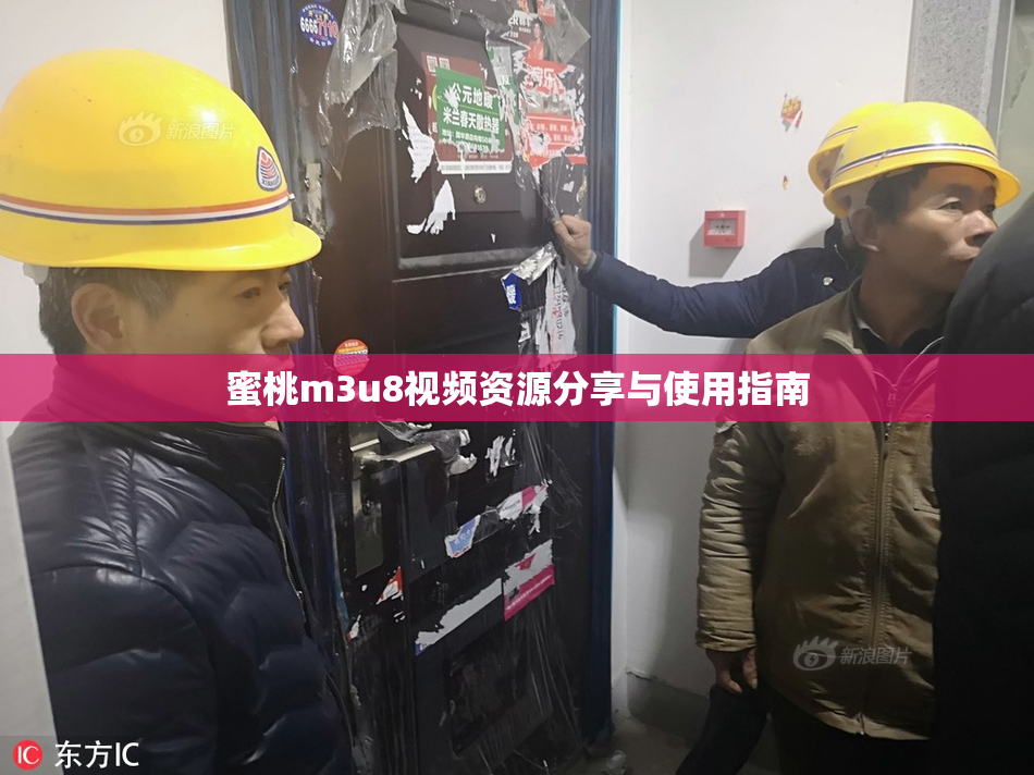 蜜桃m3u8视频资源分享与使用指南