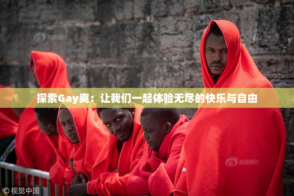 探索Gay爽：让我们一起体验无尽的快乐与自由