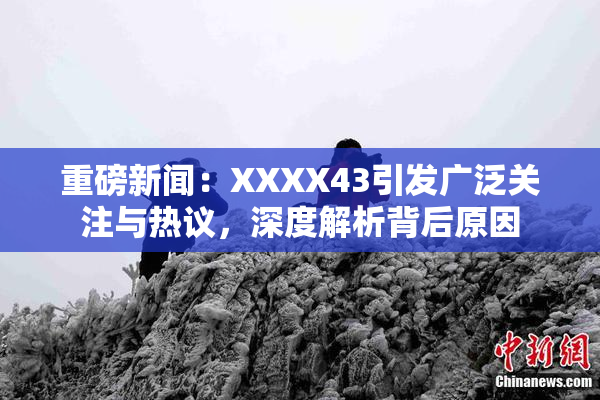 重磅新闻：XXXX43引发广泛关注与热议，深度解析背后原因