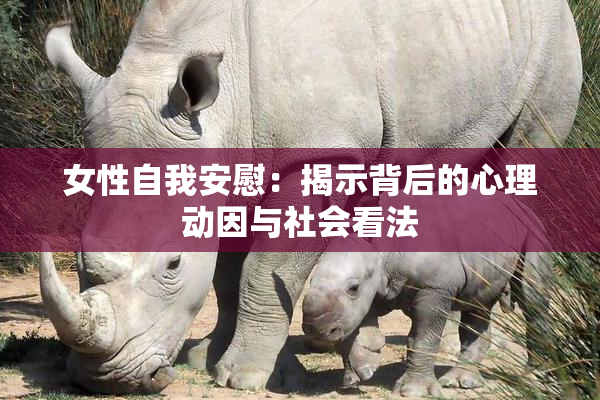 女性自我安慰：揭示背后的心理动因与社会看法