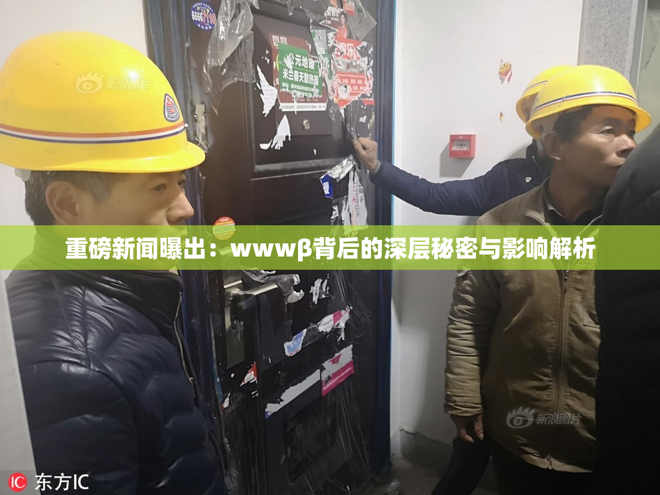 重磅新闻曝出：wwwβ背后的深层秘密与影响解析