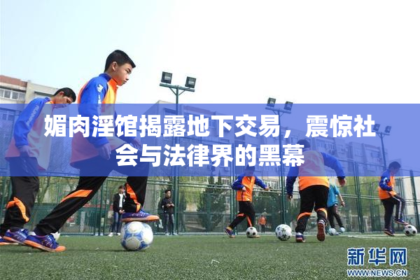 媚肉淫馆揭露地下交易，震惊社会与法律界的黑幕