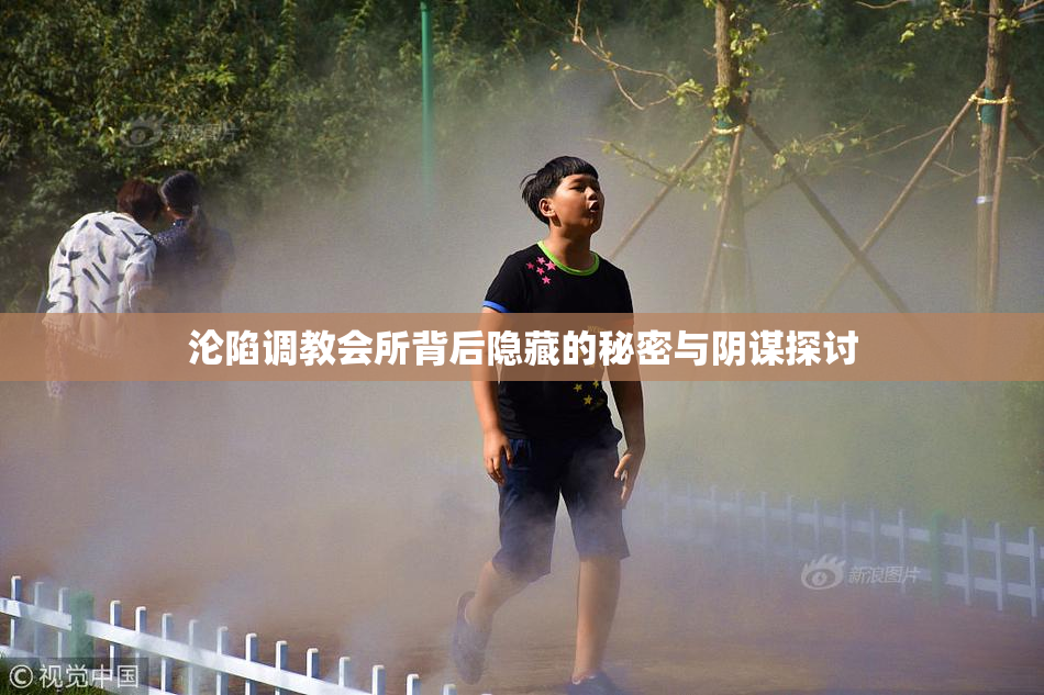沦陷调教会所背后隐藏的秘密与阴谋探讨