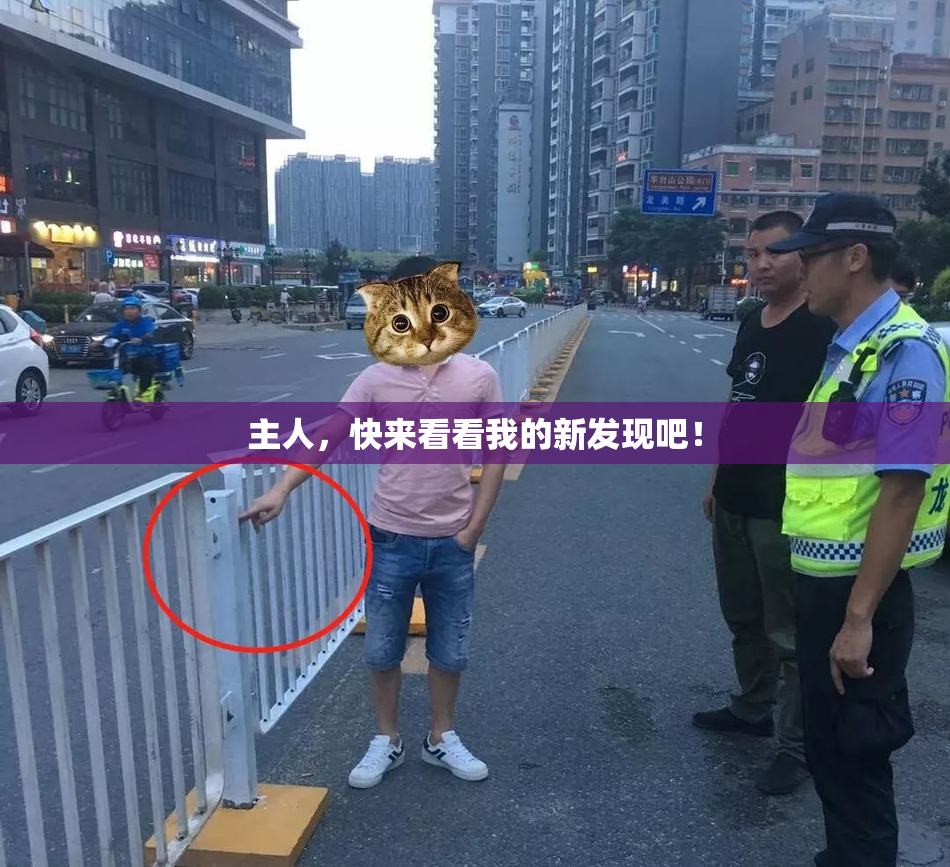 主人，快来看看我的新发现吧！