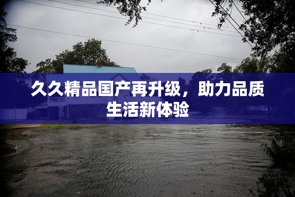 久久精品国产再升级，助力品质生活新体验