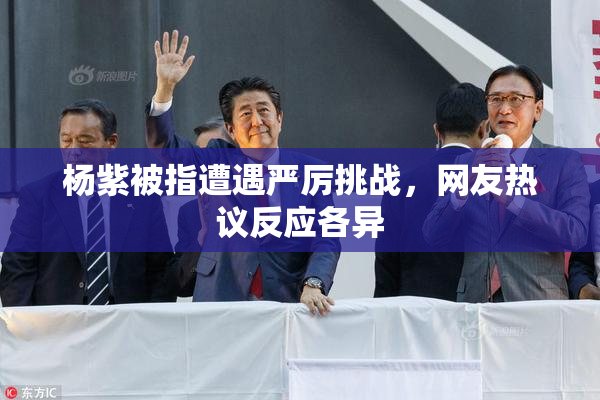 杨紫被指遭遇严厉挑战，网友热议反应各异