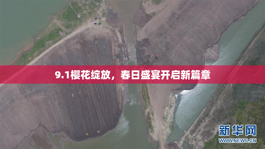 9.1樱花绽放，春日盛宴开启新篇章