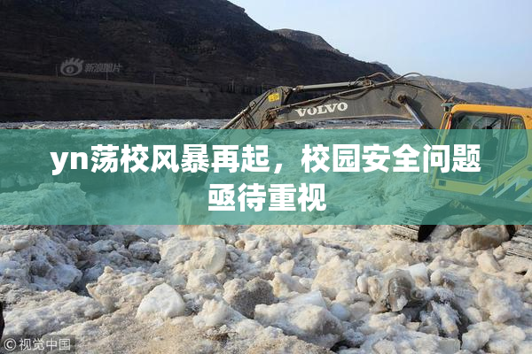 yn荡校风暴再起，校园安全问题亟待重视