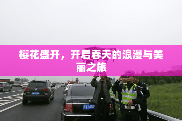 樱花盛开，开启春天的浪漫与美丽之旅