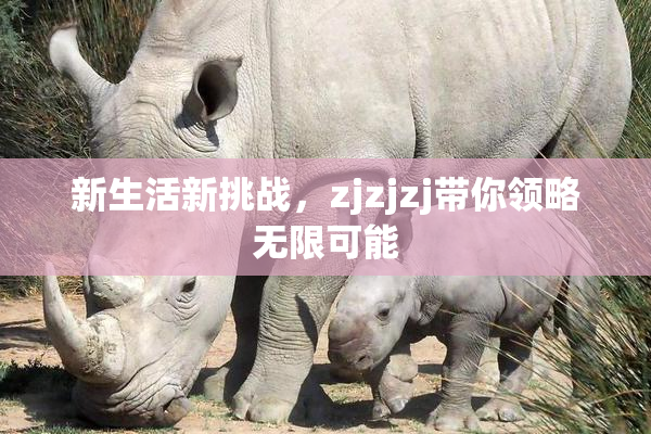 新生活新挑战，zjzjzj带你领略无限可能