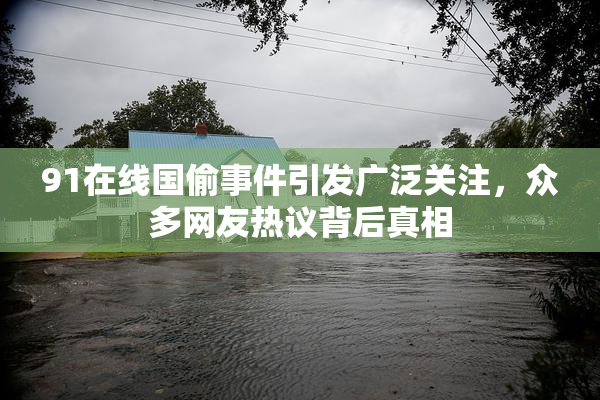 91在线国偷事件引发广泛关注，众多网友热议背后真相