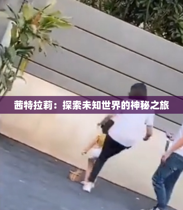 茜特拉莉：探索未知世界的神秘之旅