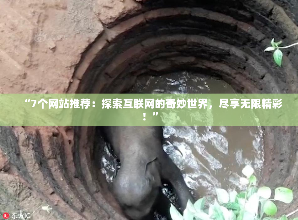 “7个网站推荐：探索互联网的奇妙世界，尽享无限精彩！”