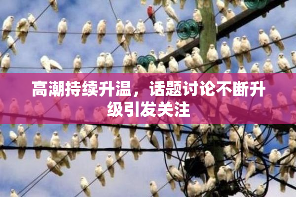 高潮持续升温，话题讨论不断升级引发关注