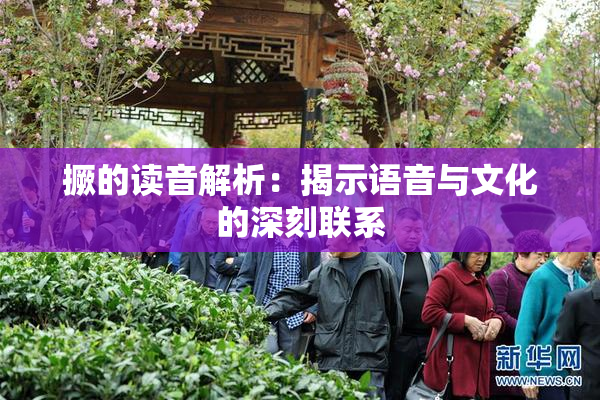 撅的读音解析：揭示语音与文化的深刻联系