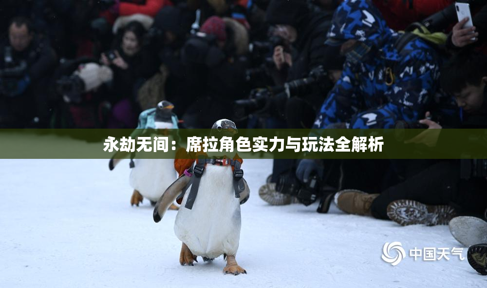 永劫无间：席拉角色实力与玩法全解析