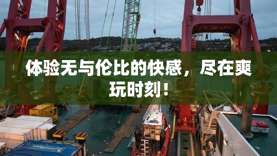 体验无与伦比的快感，尽在爽玩时刻！