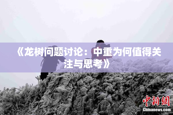《龙树问题讨论：中重为何值得关注与思考》