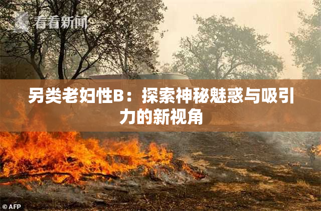 另类老妇性B：探索神秘魅惑与吸引力的新视角