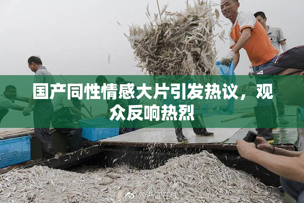 国产同性情感大片引发热议，观众反响热烈