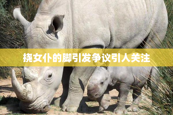 挠女仆的脚引发争议引人关注