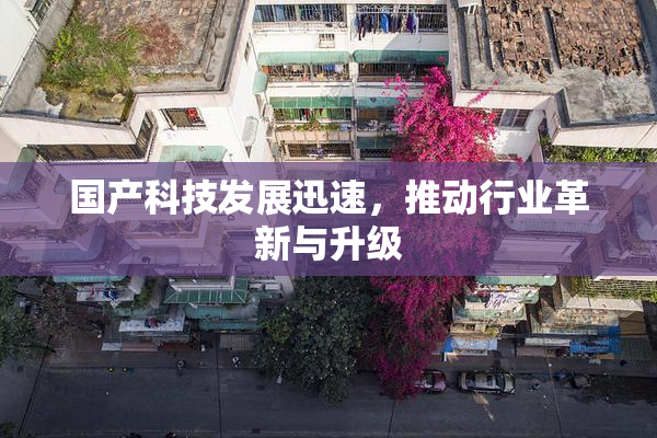 国产科技发展迅速，推动行业革新与升级