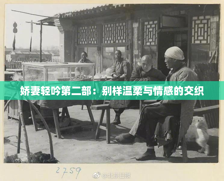 娇妻轻吟第二部：别样温柔与情感的交织