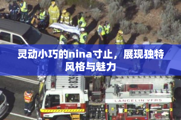 灵动小巧的nina寸止，展现独特风格与魅力