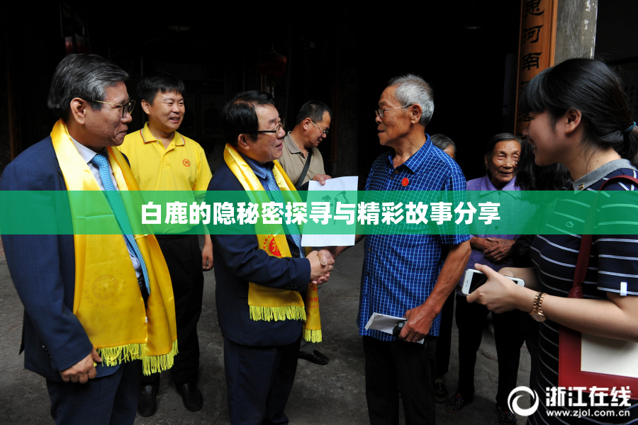 白鹿的隐秘密探寻与精彩故事分享