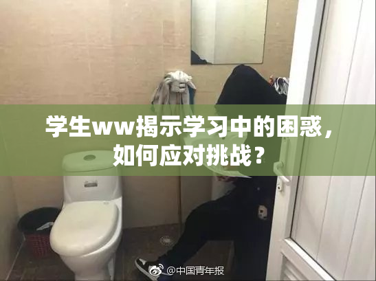 学生ww揭示学习中的困惑，如何应对挑战？