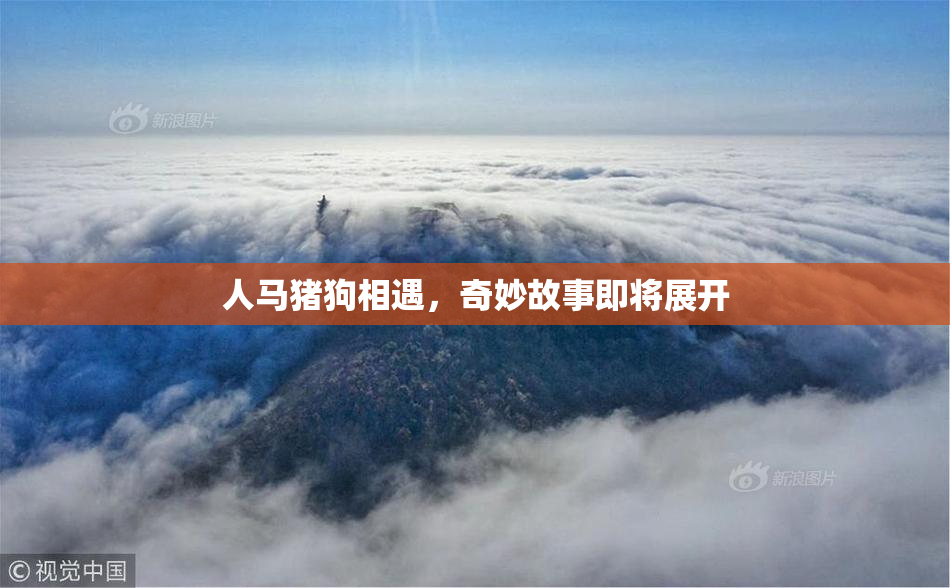 人马猪狗相遇，奇妙故事即将展开
