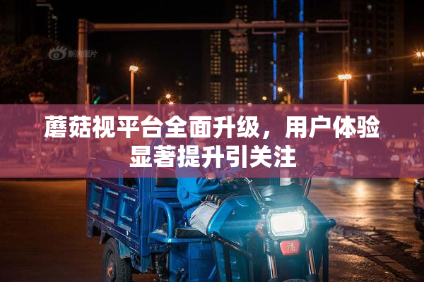 蘑菇视平台全面升级，用户体验显著提升引关注