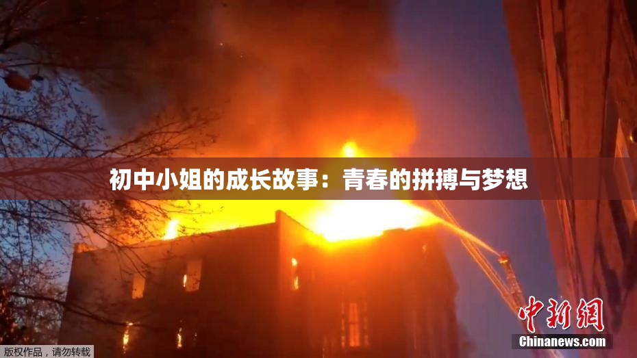 初中小姐的成长故事：青春的拼搏与梦想