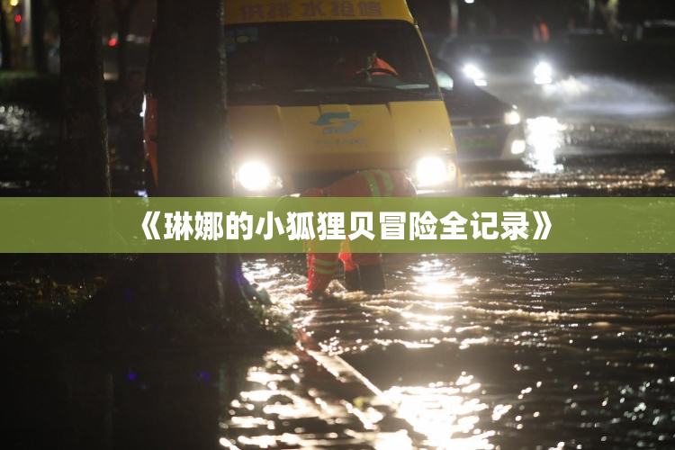 《琳娜的小狐狸贝冒险全记录》