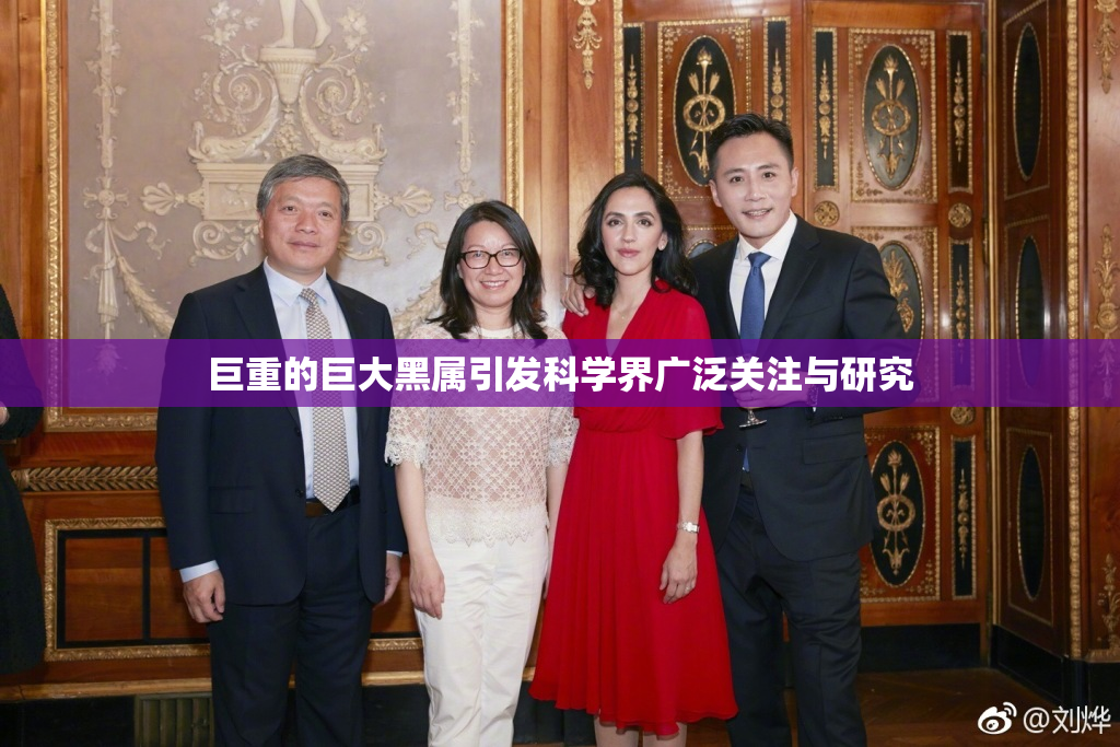 巨重的巨大黑属引发科学界广泛关注与研究