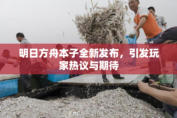 明日方舟本子全新发布，引发玩家热议与期待