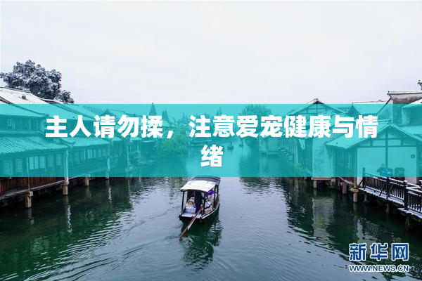 主人请勿揉，注意爱宠健康与情绪