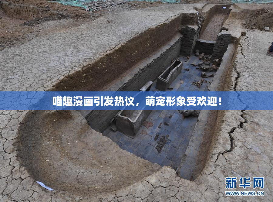 喵趣漫画引发热议，萌宠形象受欢迎！