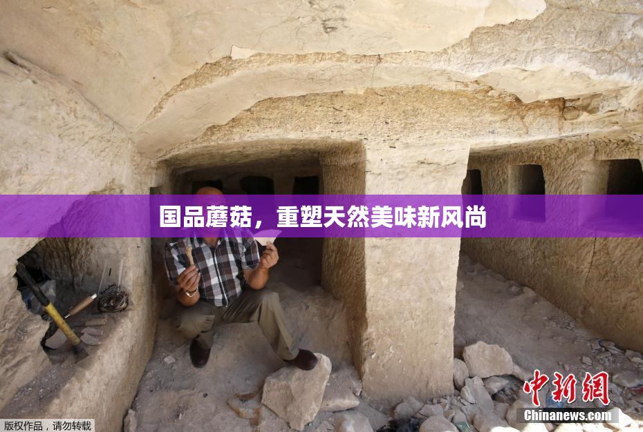 国品蘑菇，重塑天然美味新风尚