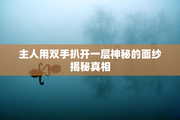 主人用双手扒开一层神秘的面纱揭秘真相