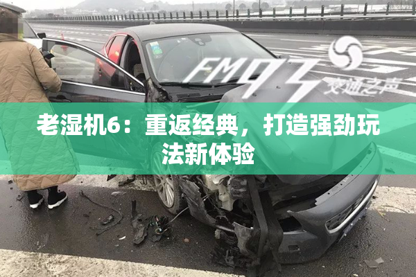 老湿机6：重返经典，打造强劲玩法新体验
