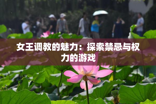 女王调教的魅力：探索禁忌与权力的游戏