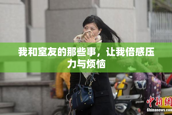 我和室友的那些事，让我倍感压力与烦恼