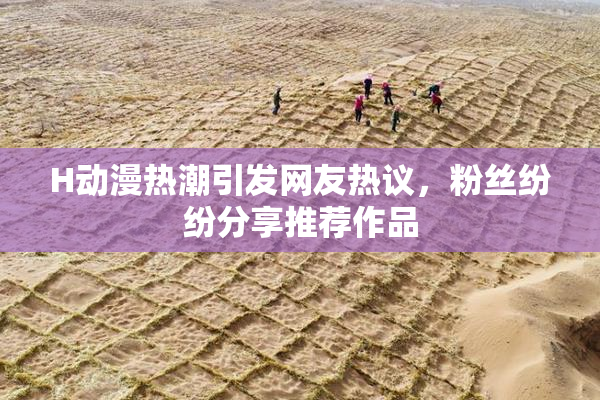H动漫热潮引发网友热议，粉丝纷纷分享推荐作品