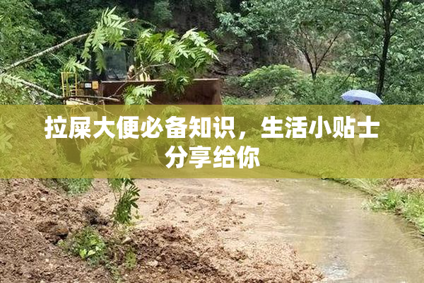拉屎大便必备知识，生活小贴士分享给你