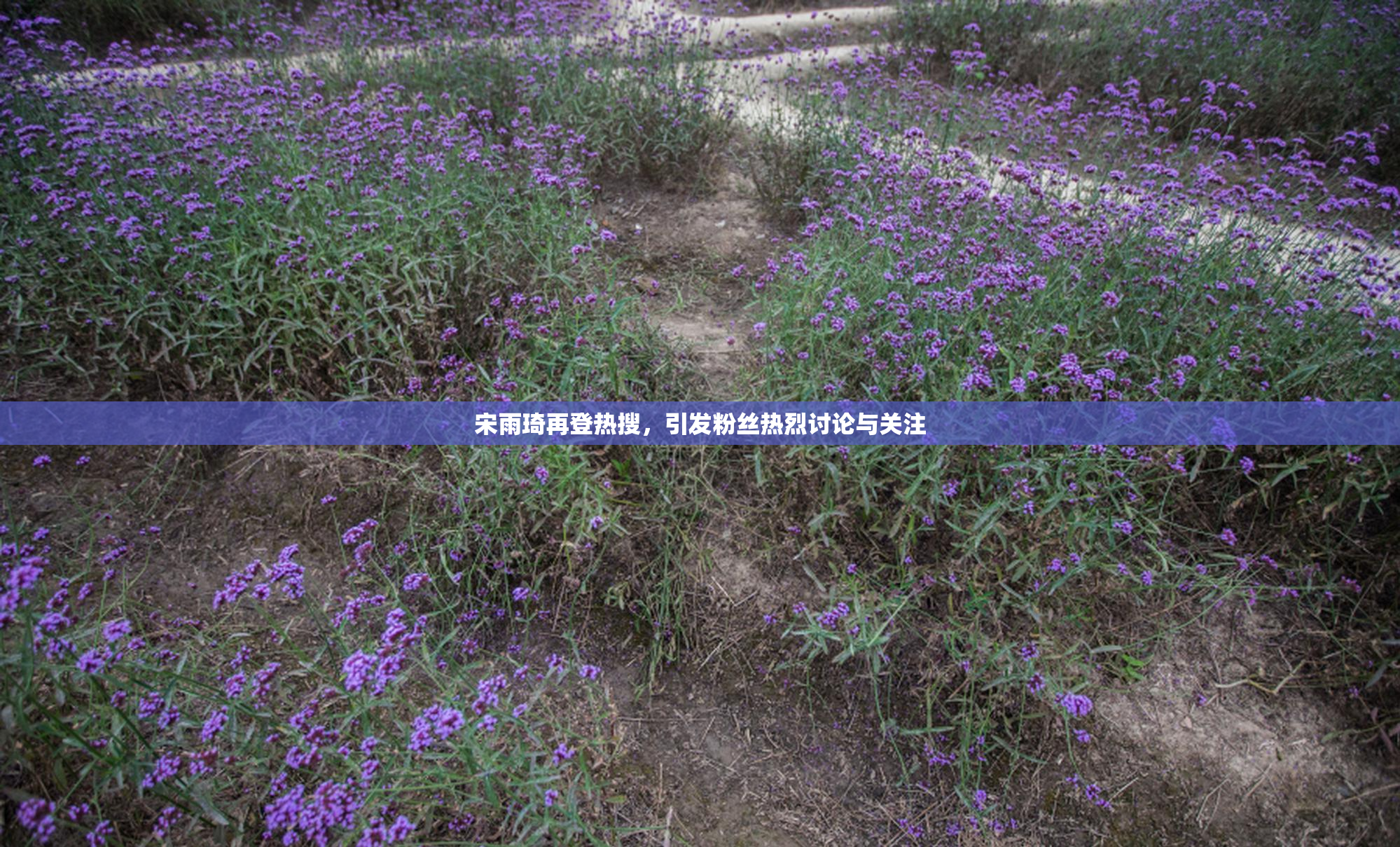 宋雨琦再登热搜，引发粉丝热烈讨论与关注