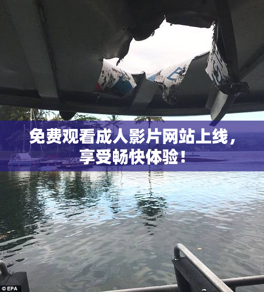 免费观看成人影片网站上线，享受畅快体验！